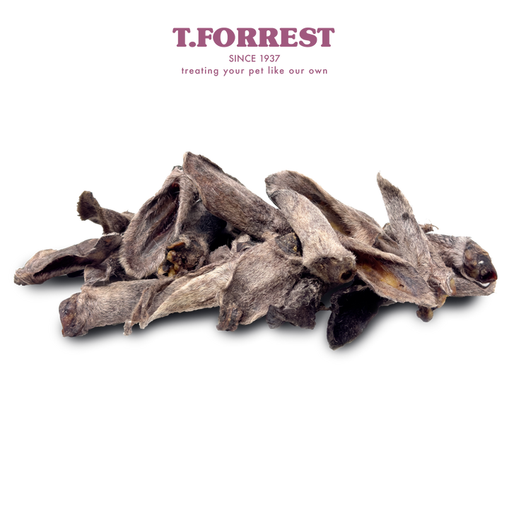 Lamb Ears Bulk