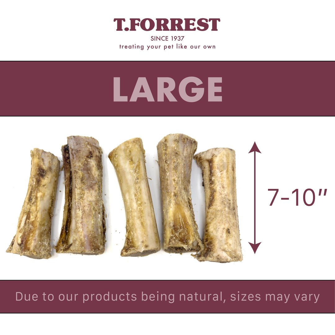 Large Buffalo Meat Filled Bones