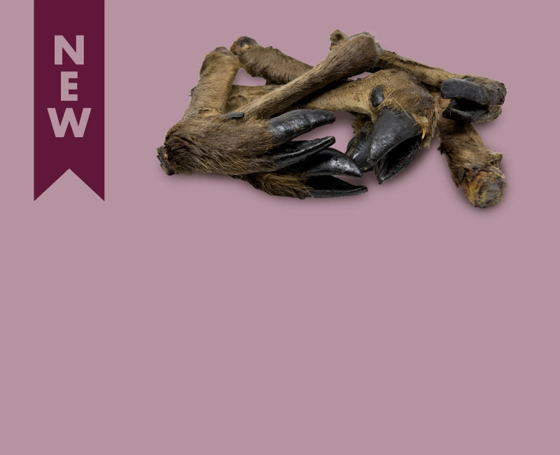 Dried Deer Legs for dogs