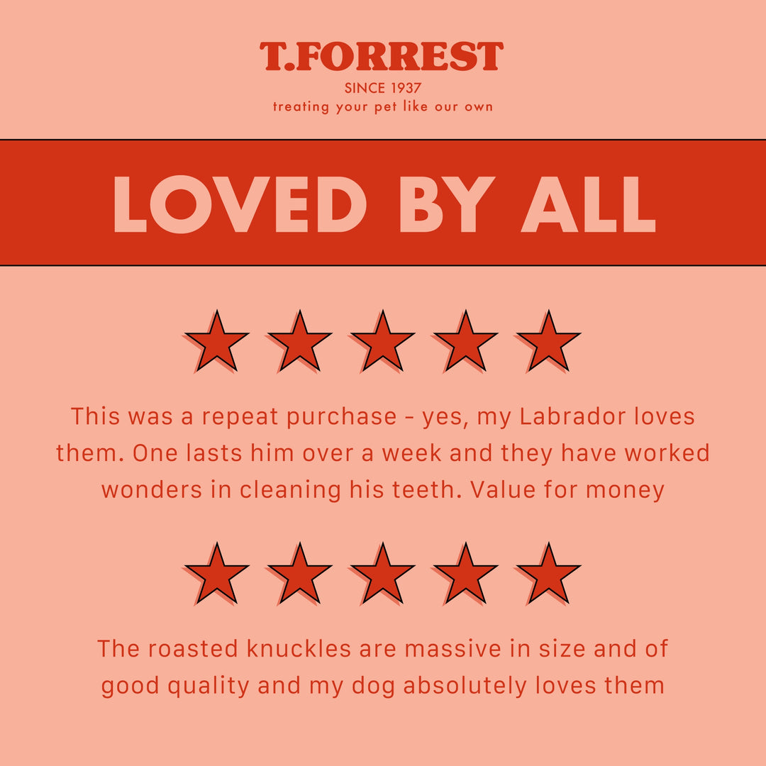 Product review card with T.Forrest branding and customer testimonials on a pink background