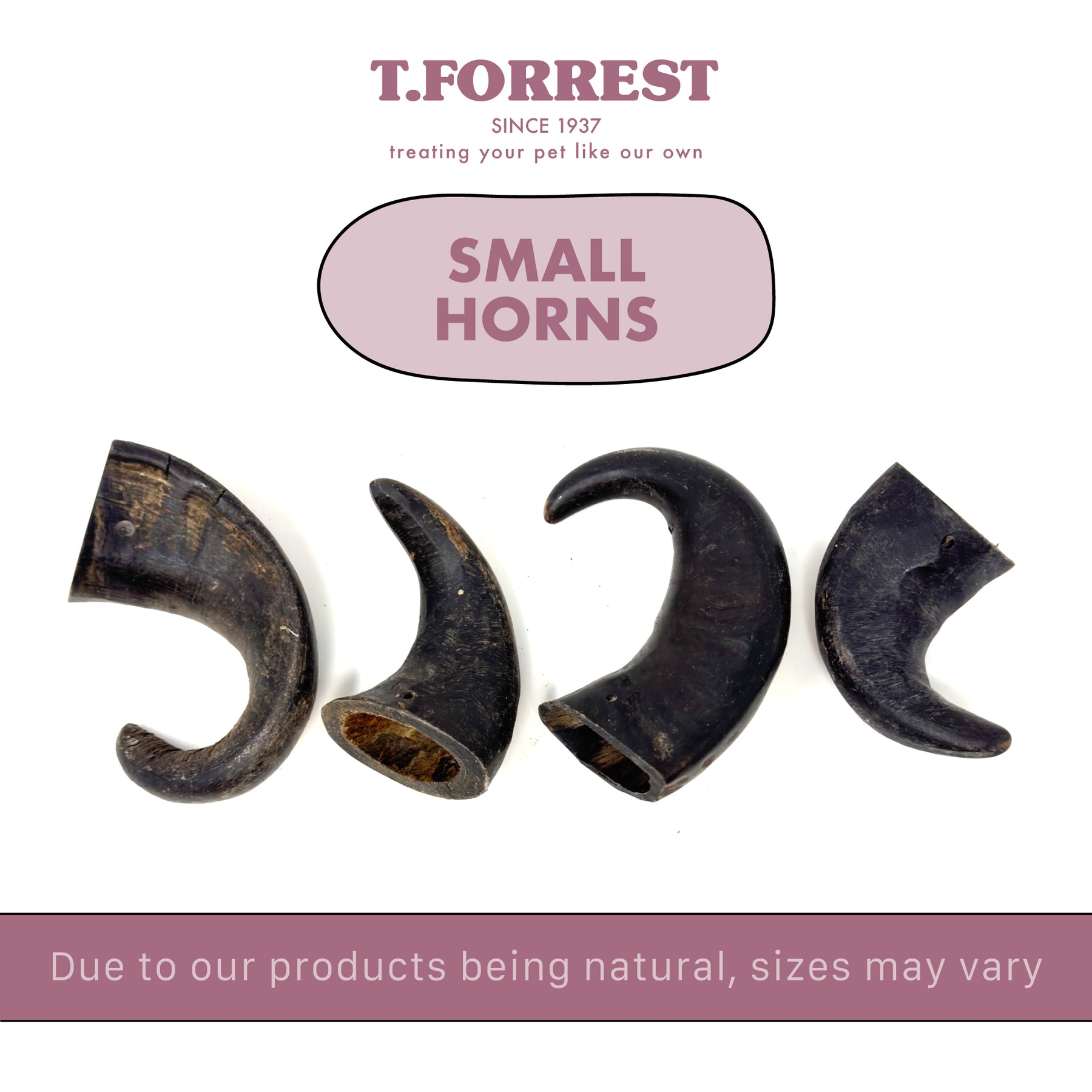 Buffalo Horn Dog Treat T.Forrest Natural Chews