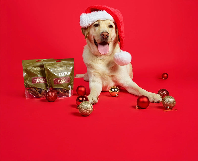 T Forrest Christmas Dog Treats