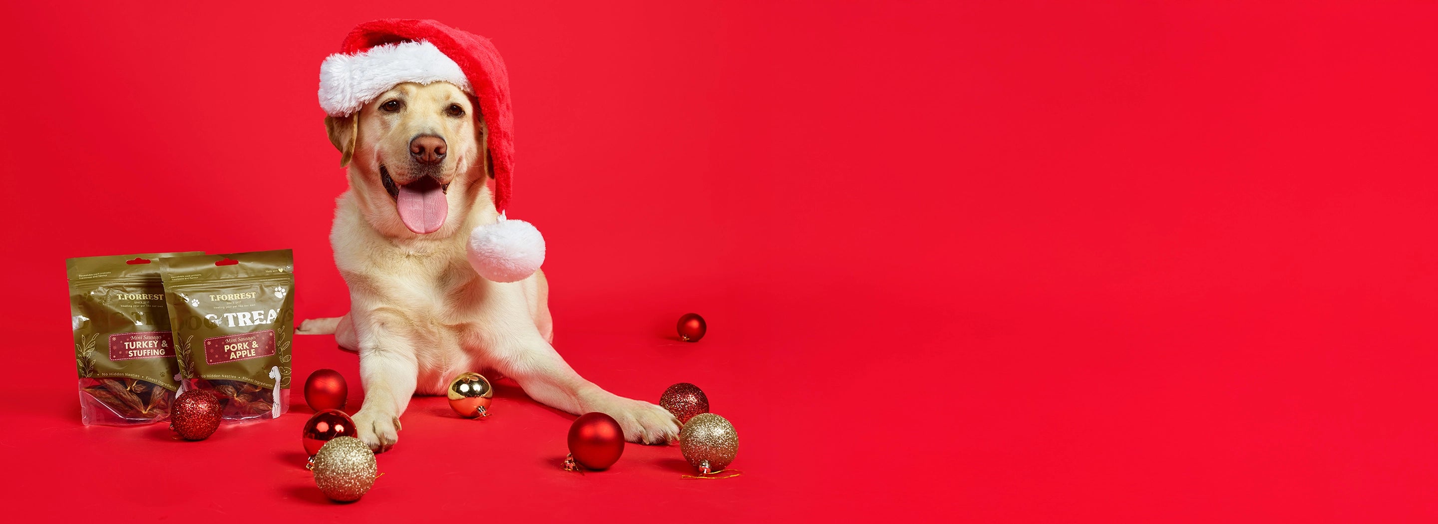 T Forrest Christmas Dog Treats