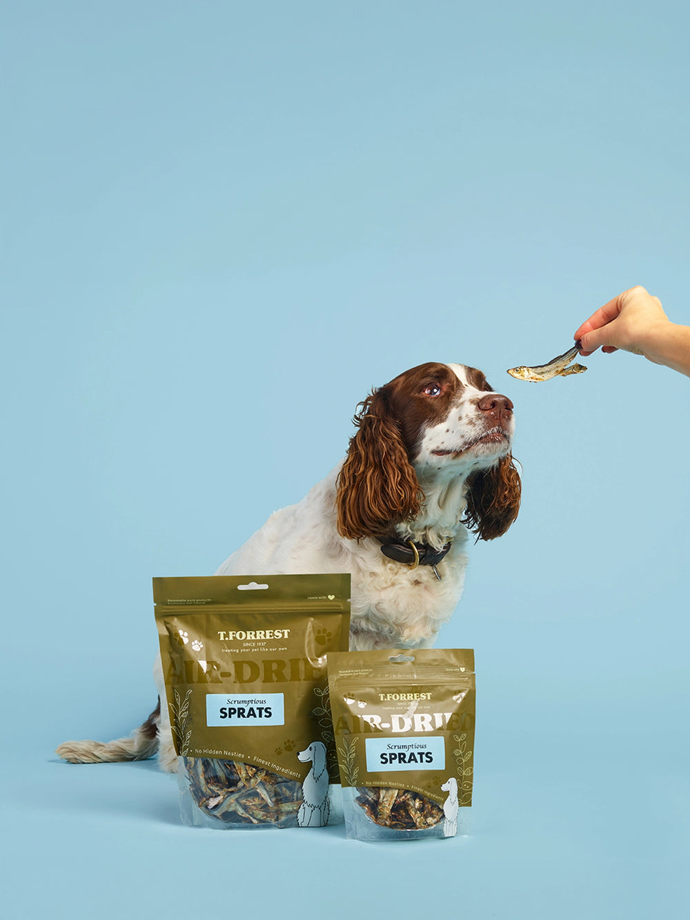 Dog sitting next to T.Forrest Dried Sprats packages on a blue background