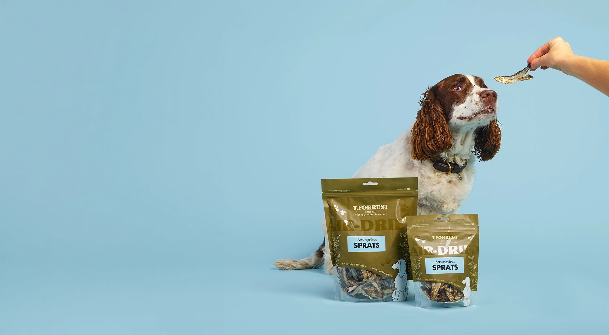Dog sitting next to T.Forrest Dried Sprats packages on a blue background