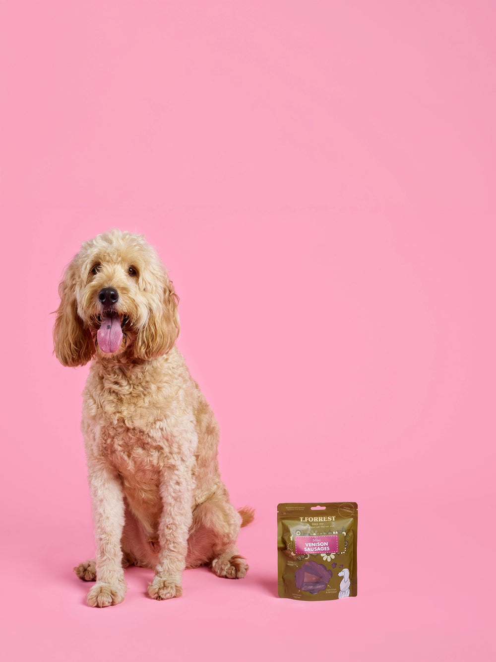 Dog sitting next to a bag of sausages on a pink background