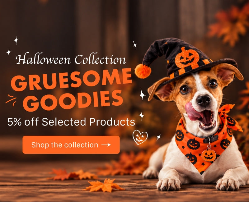 A small dog wearing a black witch hat and orange pumpkin-print bandana lies on a wooden surface with autumn leaves around it. Large promotional text reads 'Halloween Collection GRUESOME GOODIES 5% off Selected Products' with an orange 'Shop the collection' button.