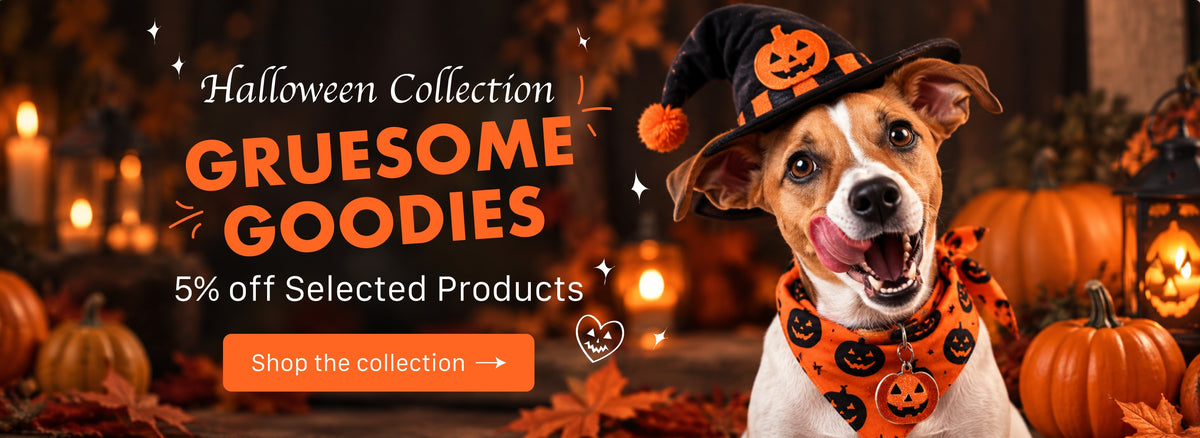 Promotional banner for a Halloween collection featuring a smiling dog dressed in a witch hat and pumpkin-print collar, surrounded by pumpkins and candles, with large text reading 'The HALLOWEEN COLLECTION' and a 'Shop the collection' button.