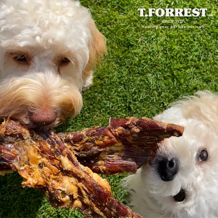 Paddywack dog treats