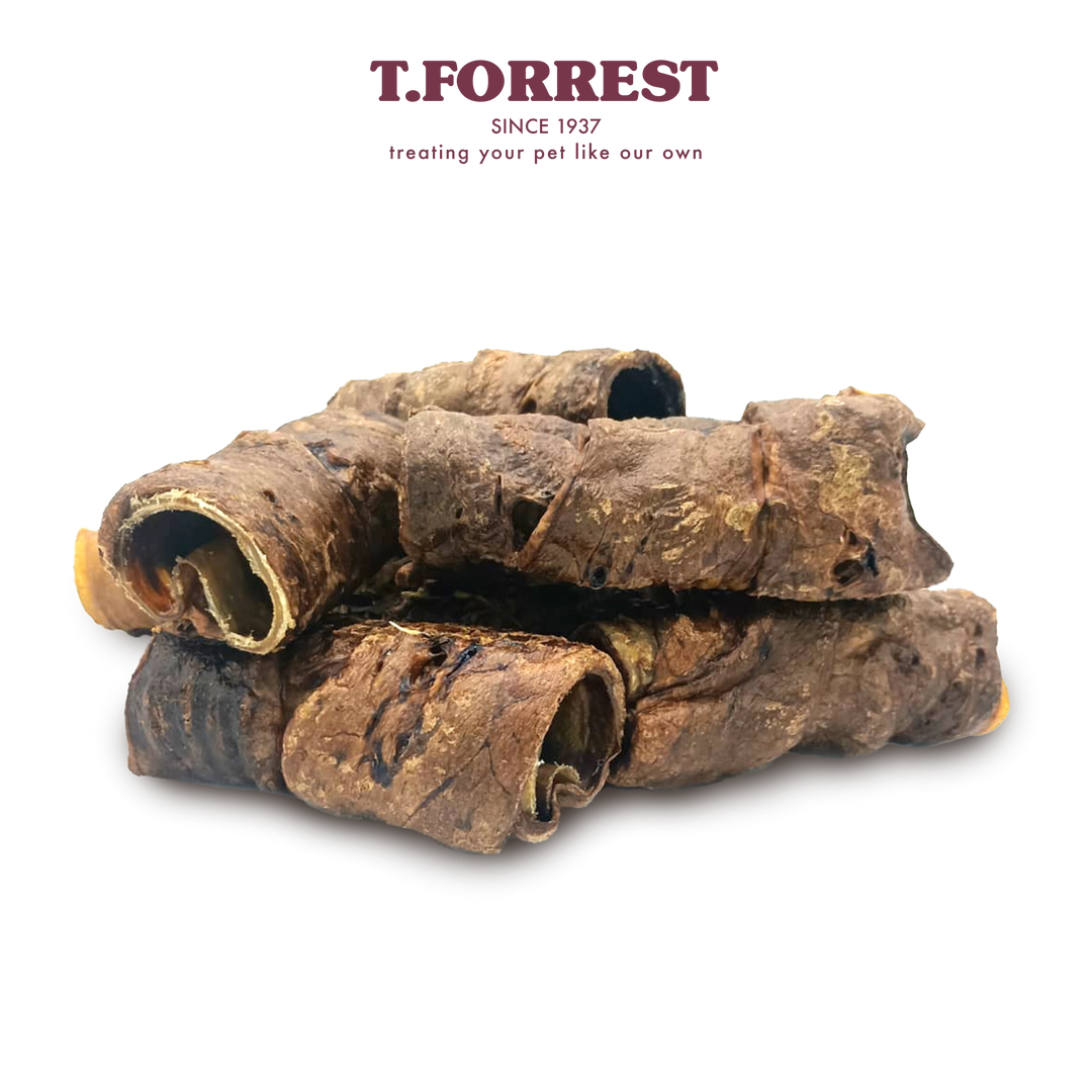 Wrapped Trachea Lung Bulk