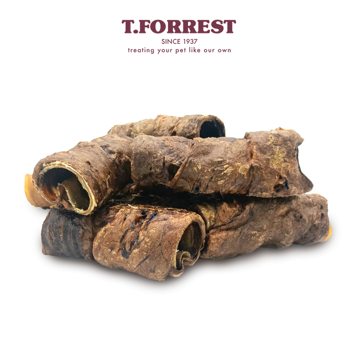 Wrapped Trachea Lung Bulk