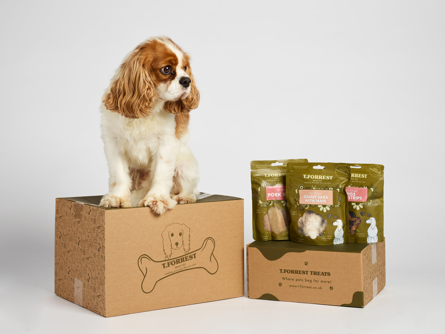 t forrest natural treats for dogs uk