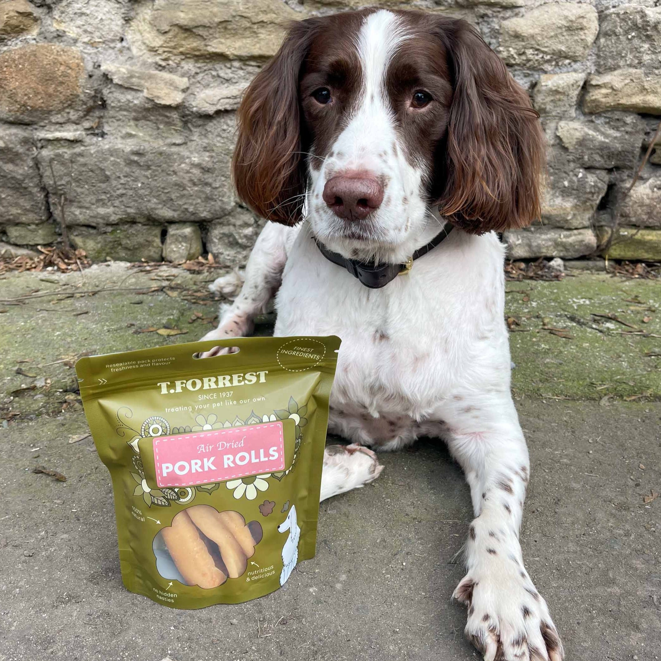 springer spaniel natural dog treats