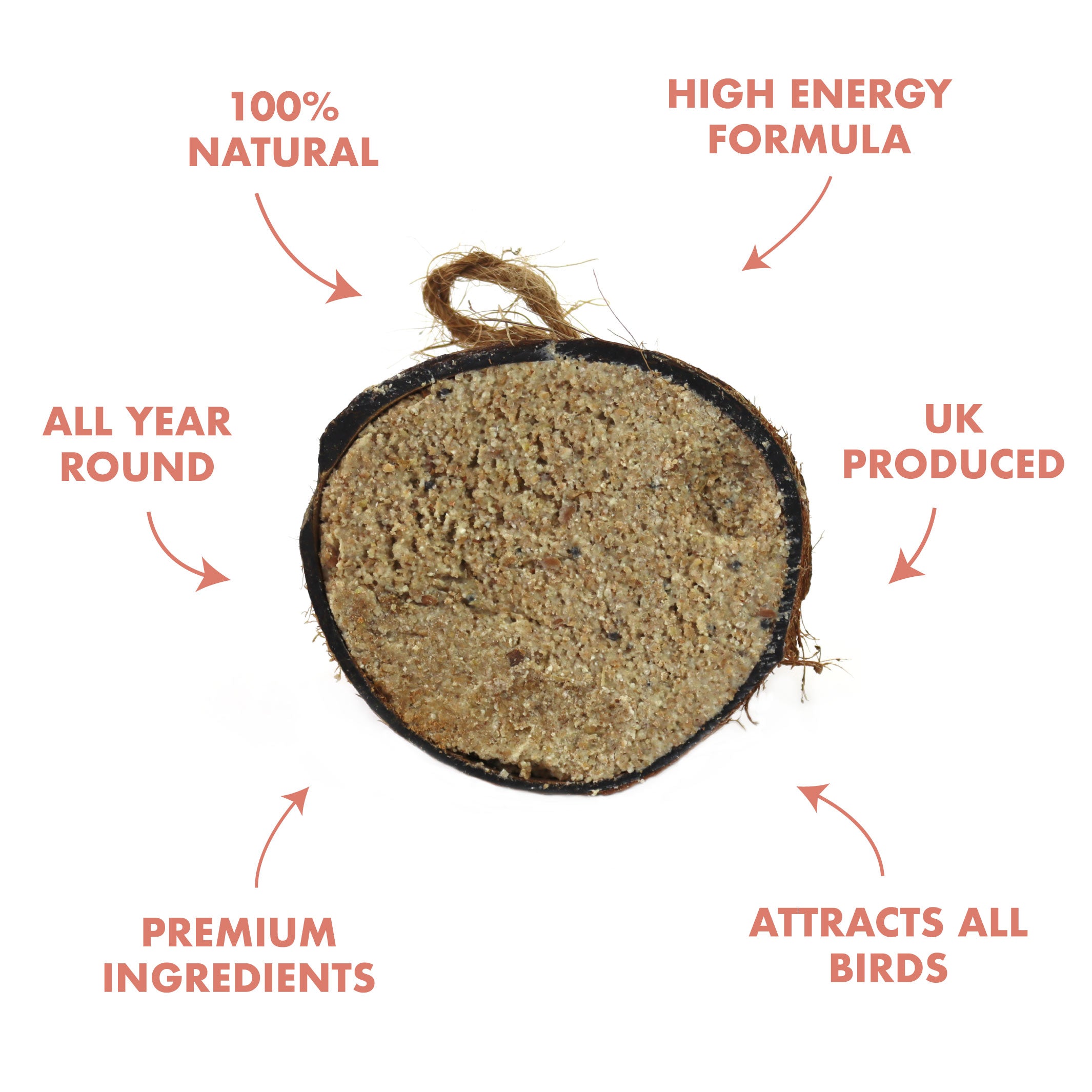 benefits of suet bird feeder