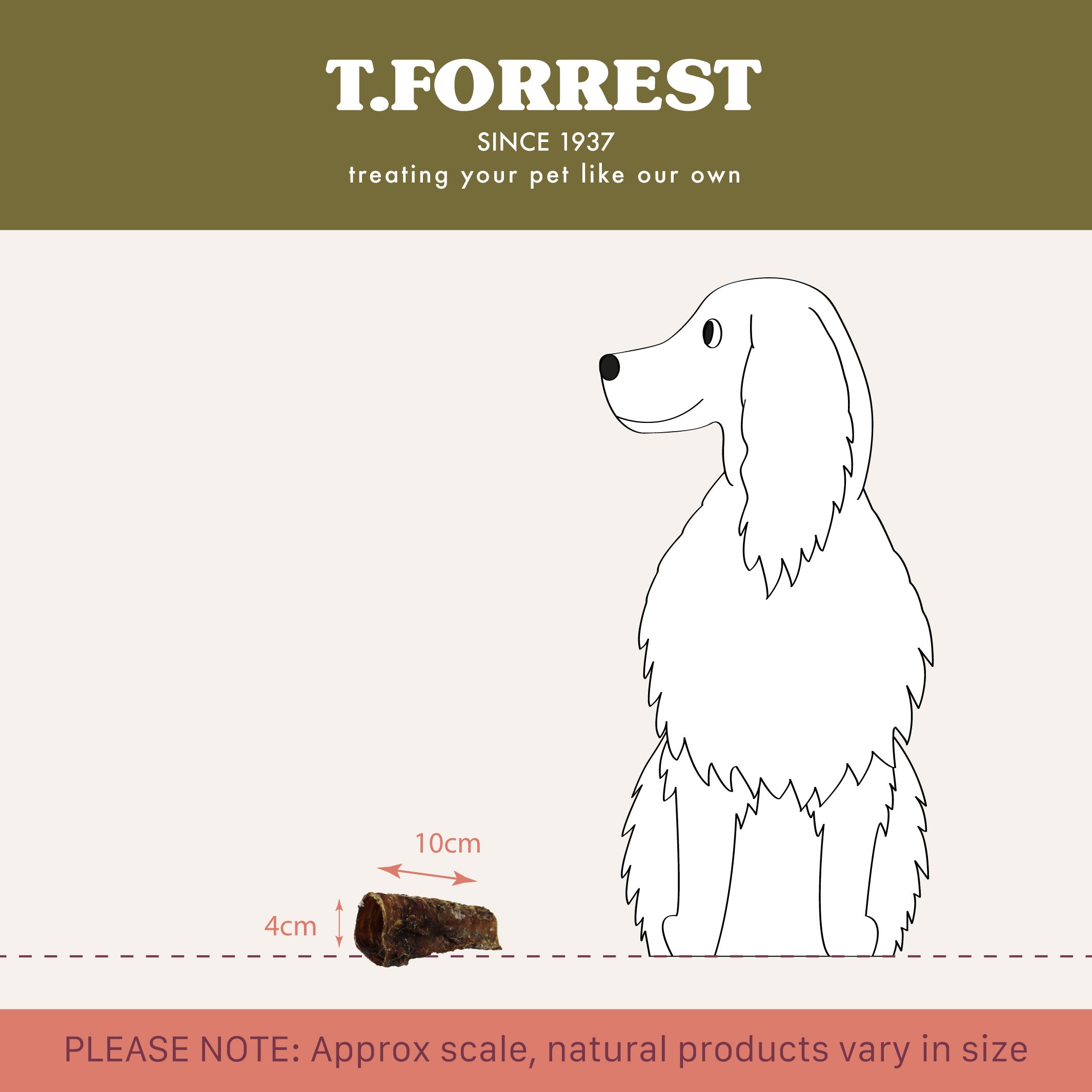 t forrest dried beef trachea size