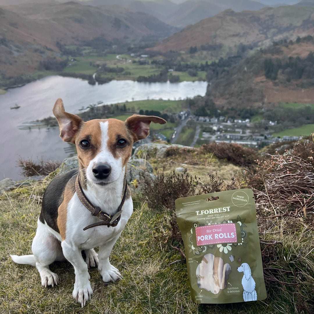 Pork Rolls For Dogs